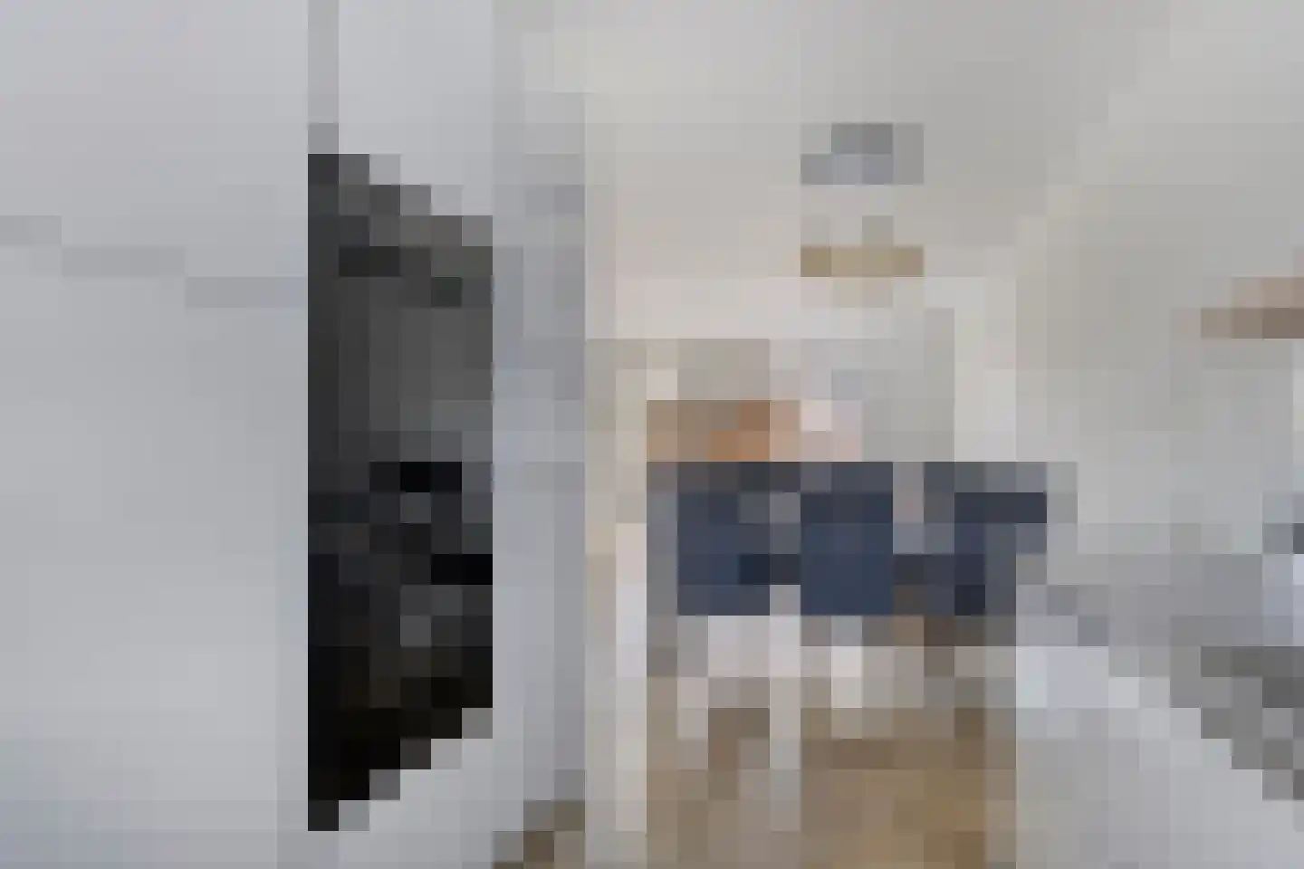 Faberhof 32 Veenendaal thumbnail 16