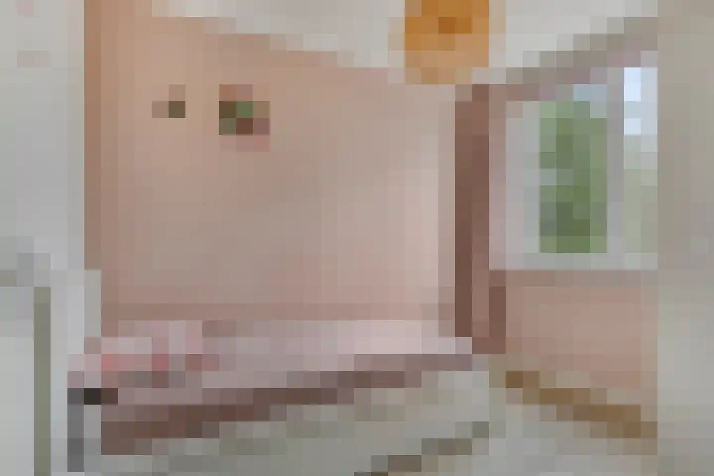 Faberhof 32 Veenendaal thumbnail 26
