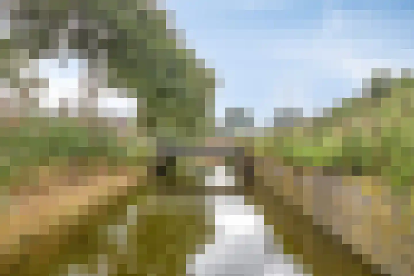 Faberhof 32 Veenendaal thumbnail 38