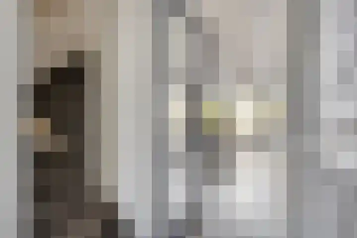 Faberhof 34 Veenendaal thumbnail 14