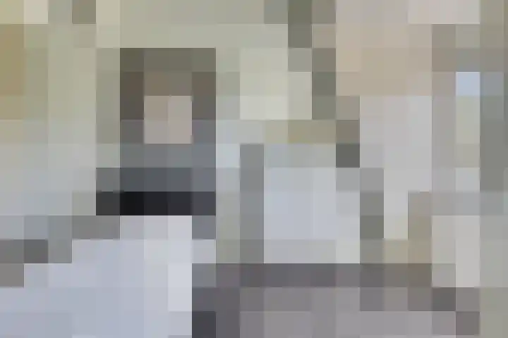 Faberhof 34 Veenendaal thumbnail 31