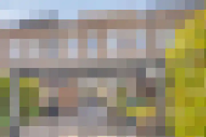 Faberhof 34 Veenendaal thumbnail 38
