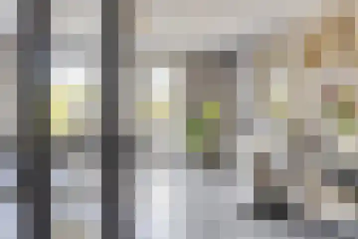 Faberhof 34 Veenendaal thumbnail 4