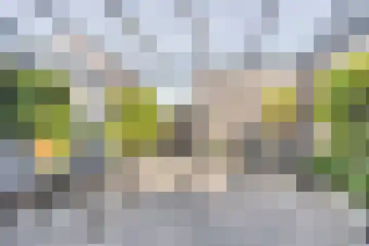 Faberhof 34 Veenendaal thumbnail 40