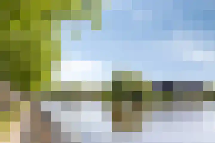 Faberhof 34 Veenendaal thumbnail 43