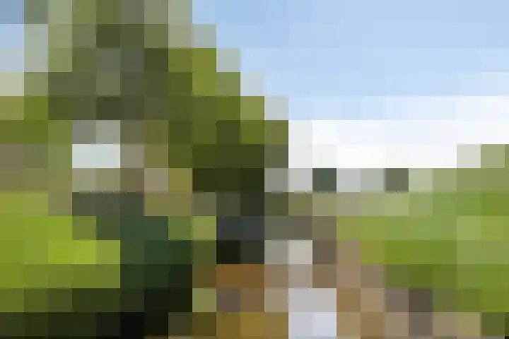 Faberhof 34 Veenendaal thumbnail 44