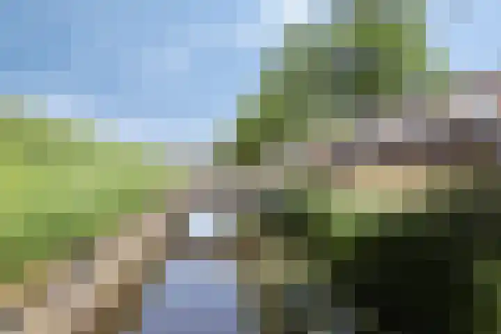 Faberhof 34 Veenendaal thumbnail 45
