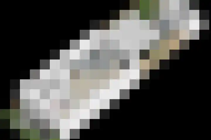 Faberhof 34 Veenendaal thumbnail 48