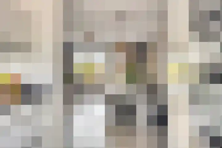 Faberhof 34 Veenendaal thumbnail 9