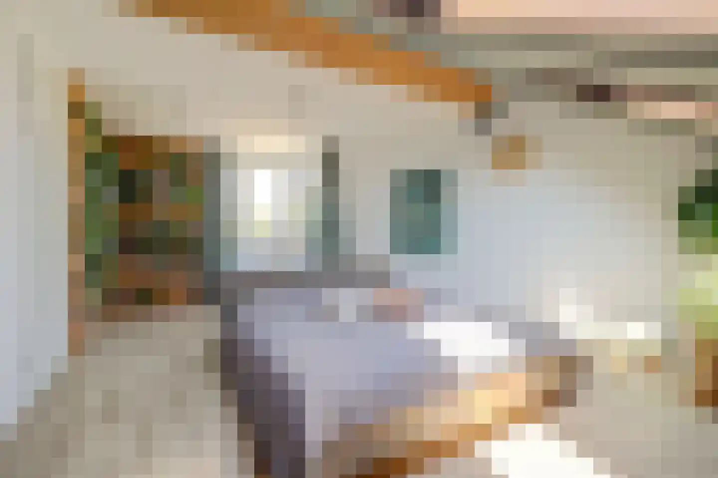 Faberhof 58 Veenendaal thumbnail 29