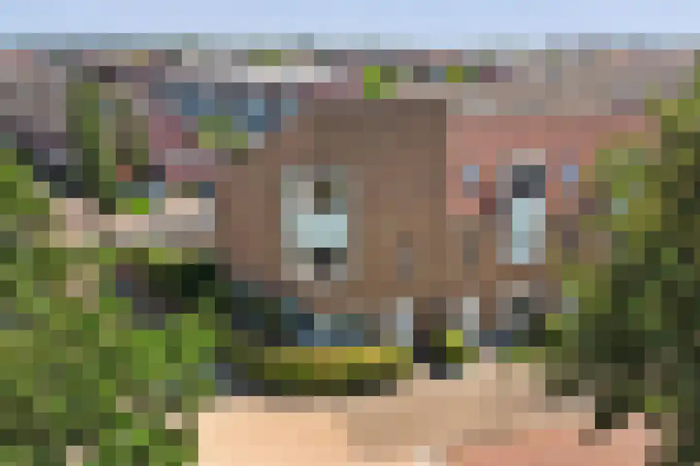 Faberhof 58 Veenendaal thumbnail 44