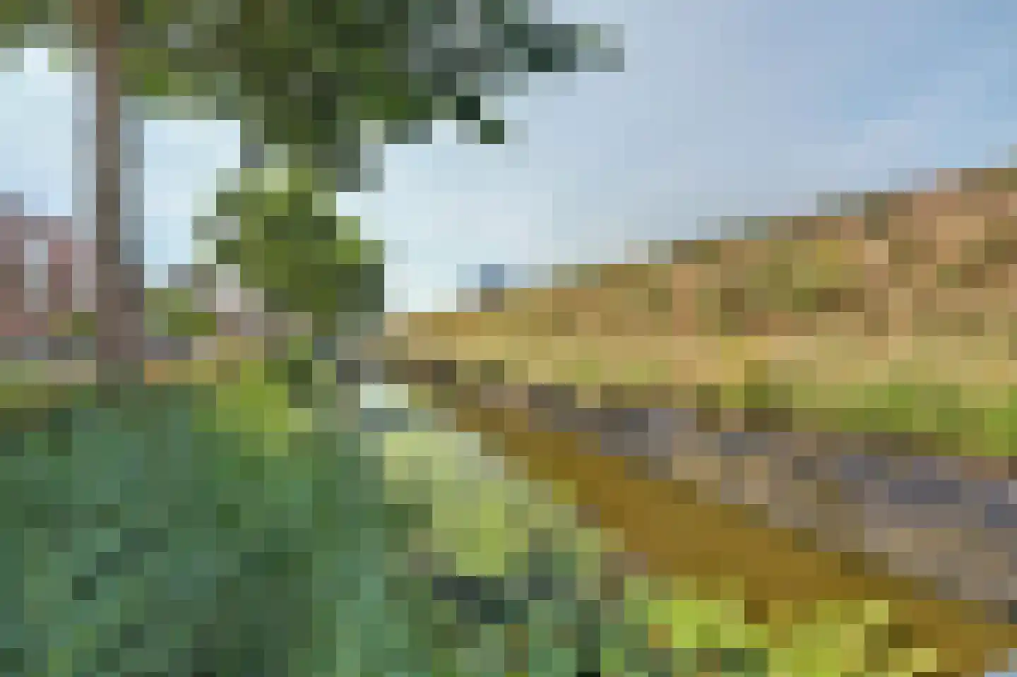 Faberhof 58 Veenendaal thumbnail 49
