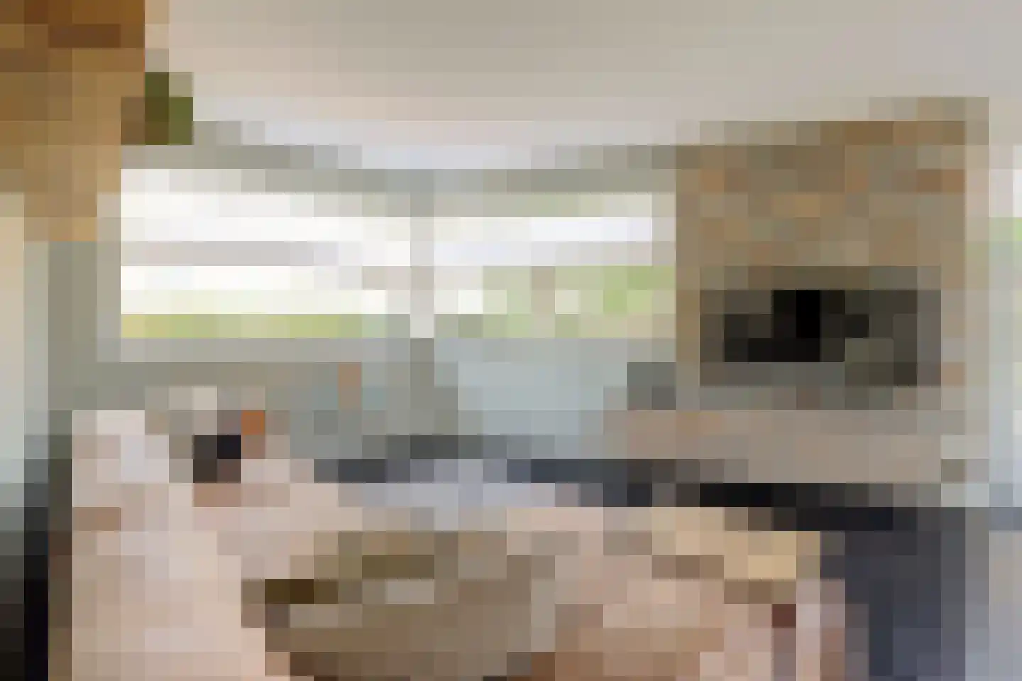 Faberhof 58 Veenendaal thumbnail 6