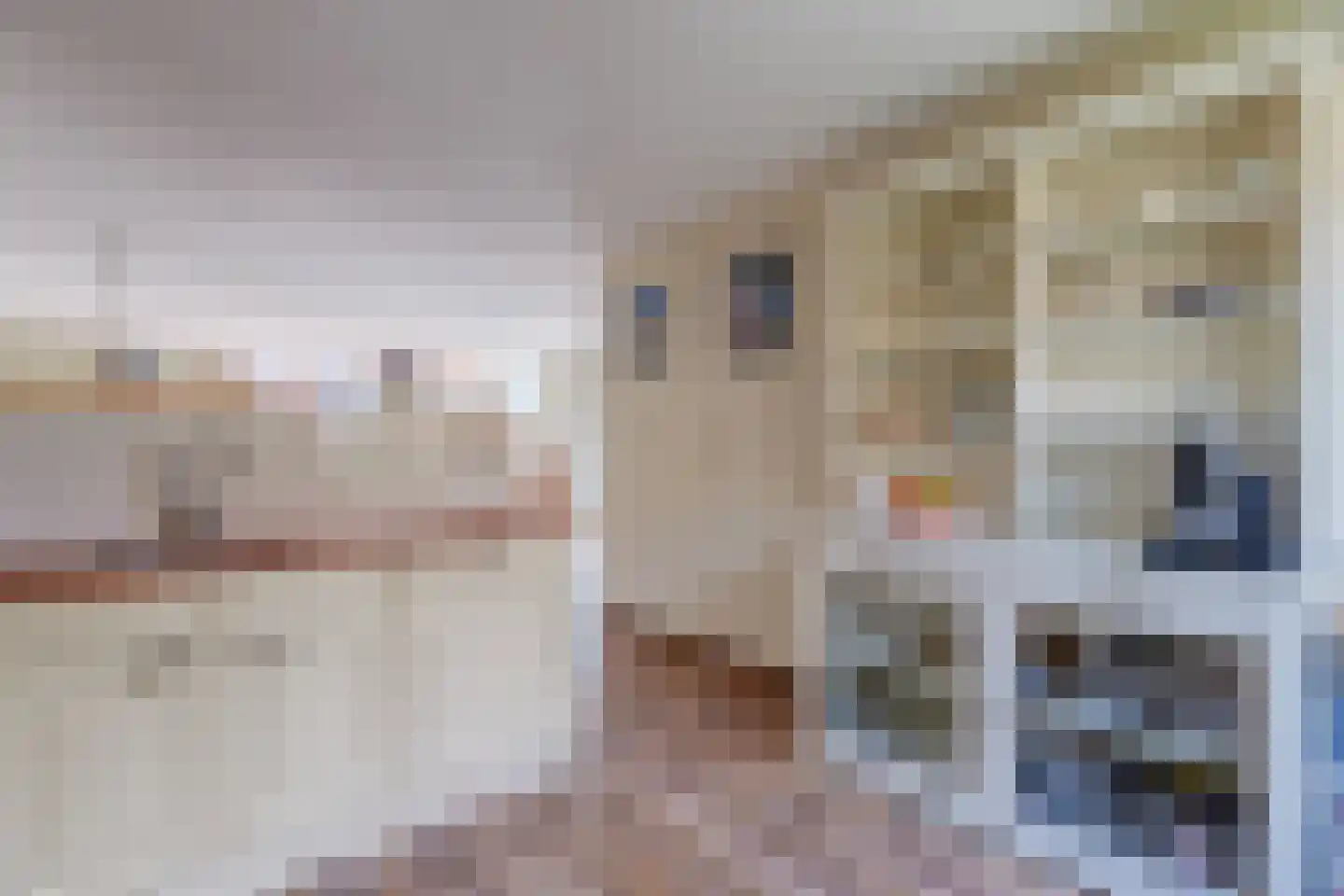 Faberlaan 48 Den Haag thumbnail 11