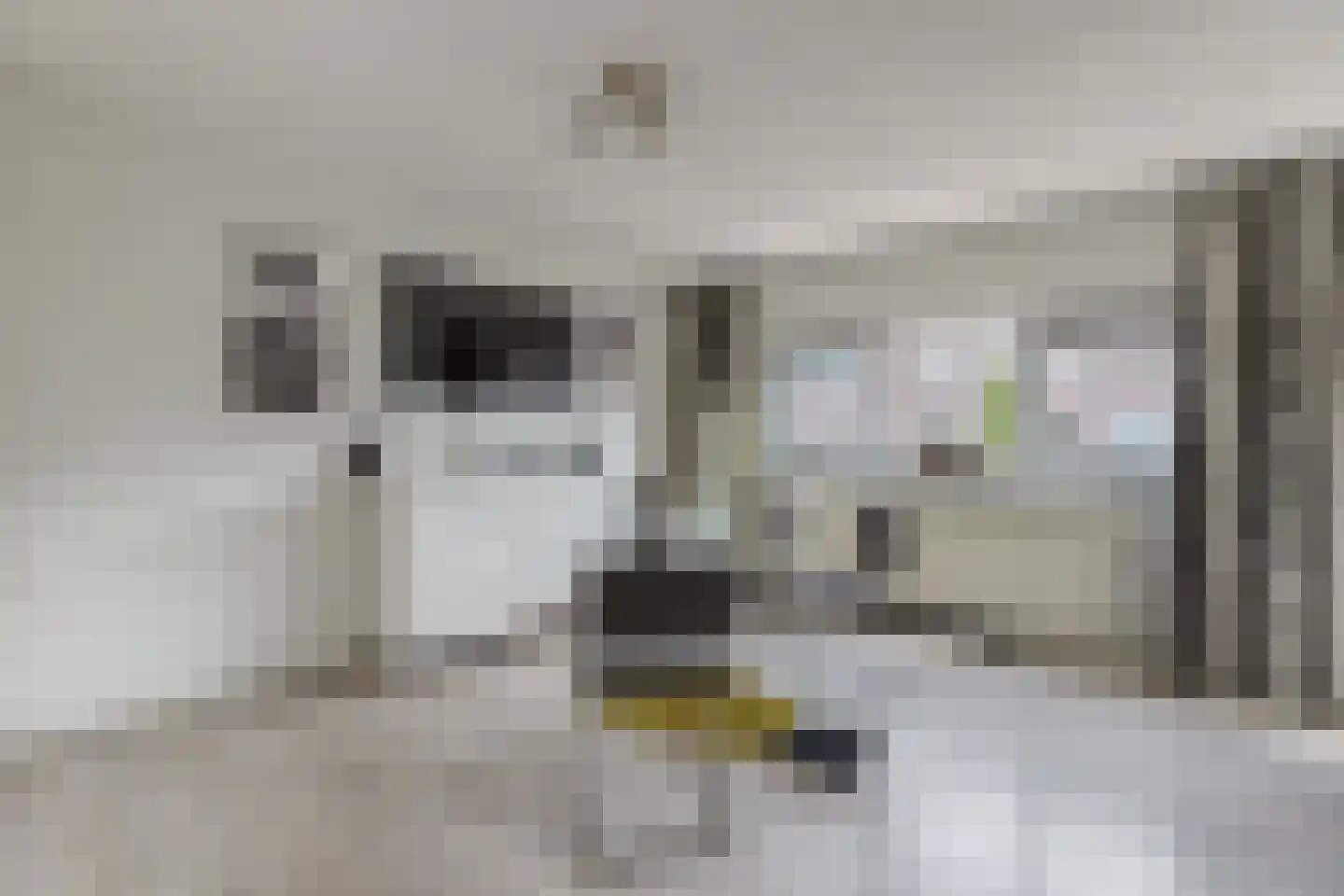 Faberlaan 48 Den Haag thumbnail 22