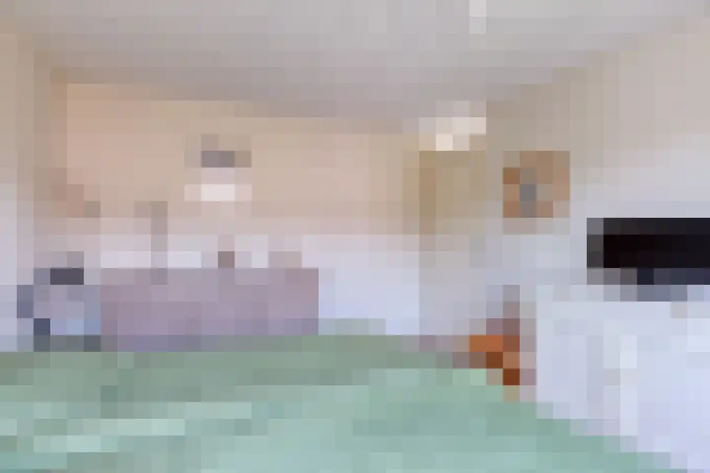 Faberlaan 48 Den Haag thumbnail 26