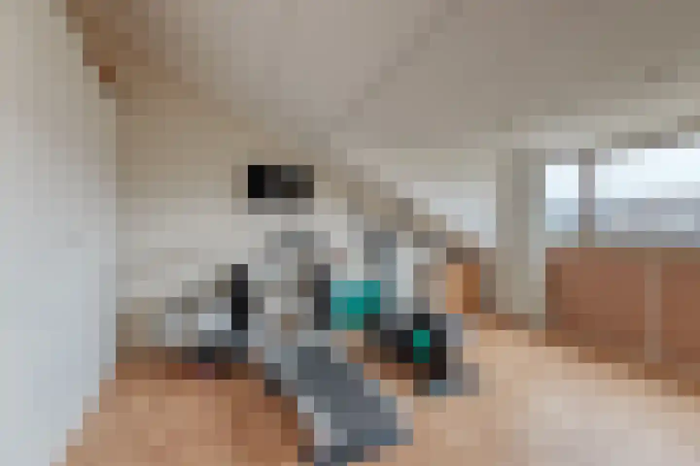 Faberlaan 48 Den Haag thumbnail 30