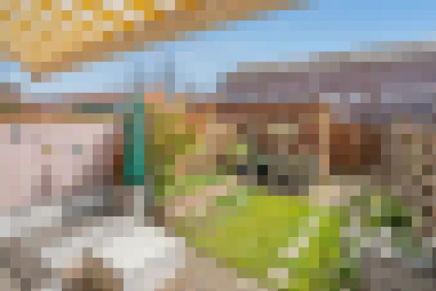 Faberlaan 64 Den Haag thumbnail 16