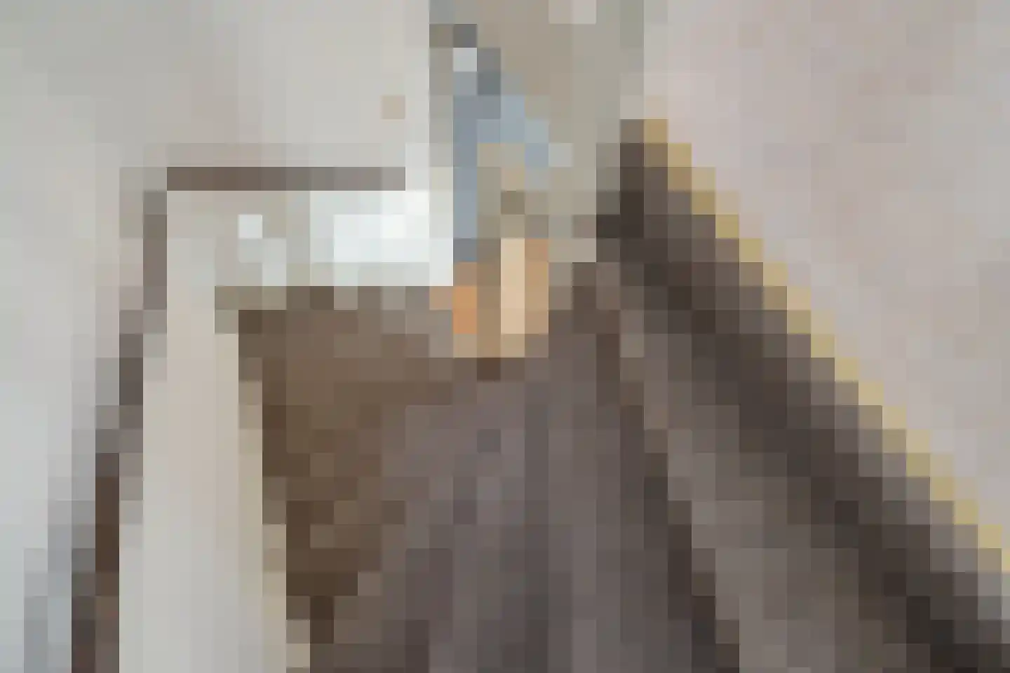 Faberlaan 64 Den Haag thumbnail 19
