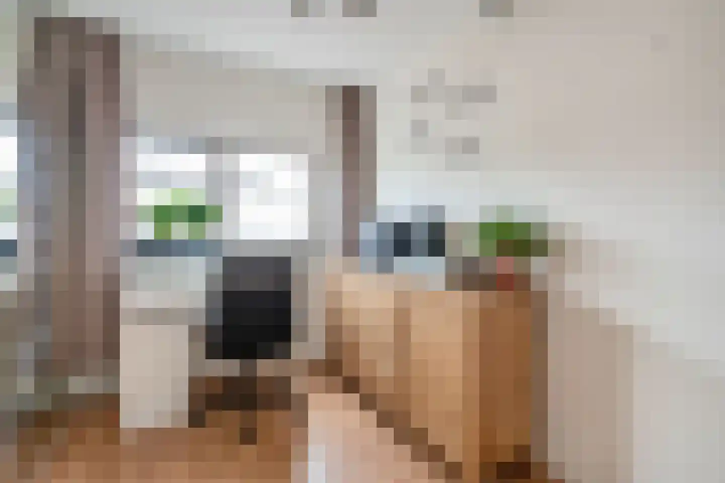 Faberlaan 64 Den Haag thumbnail 23