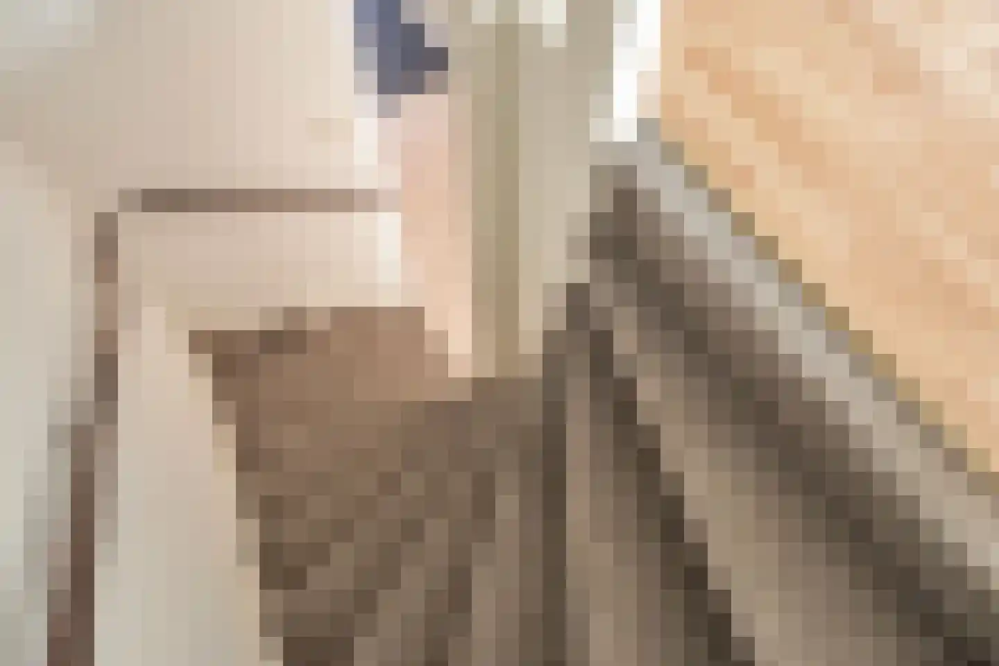 Faberlaan 64 Den Haag thumbnail 28