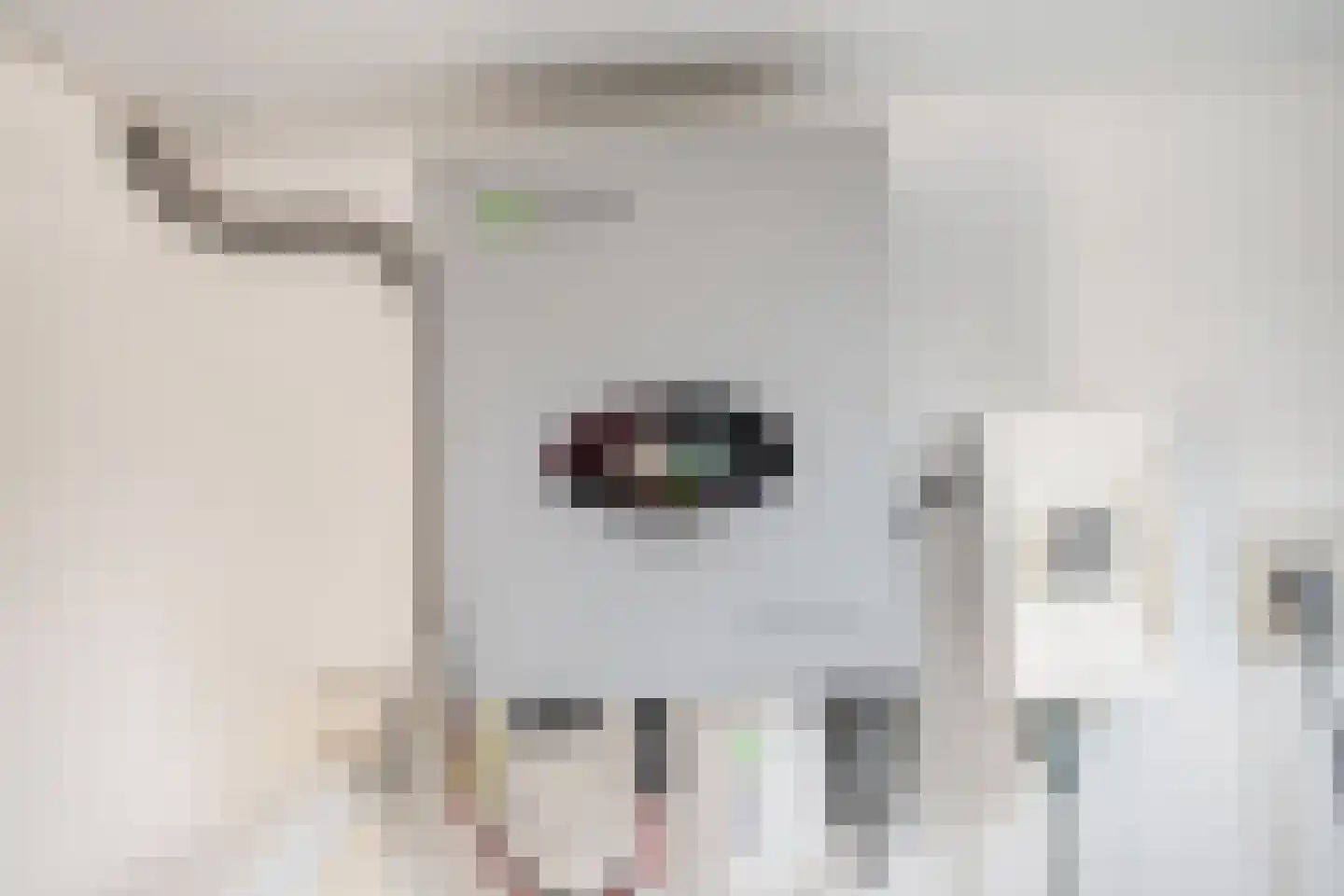 Faberlaan 64 Den Haag thumbnail 30