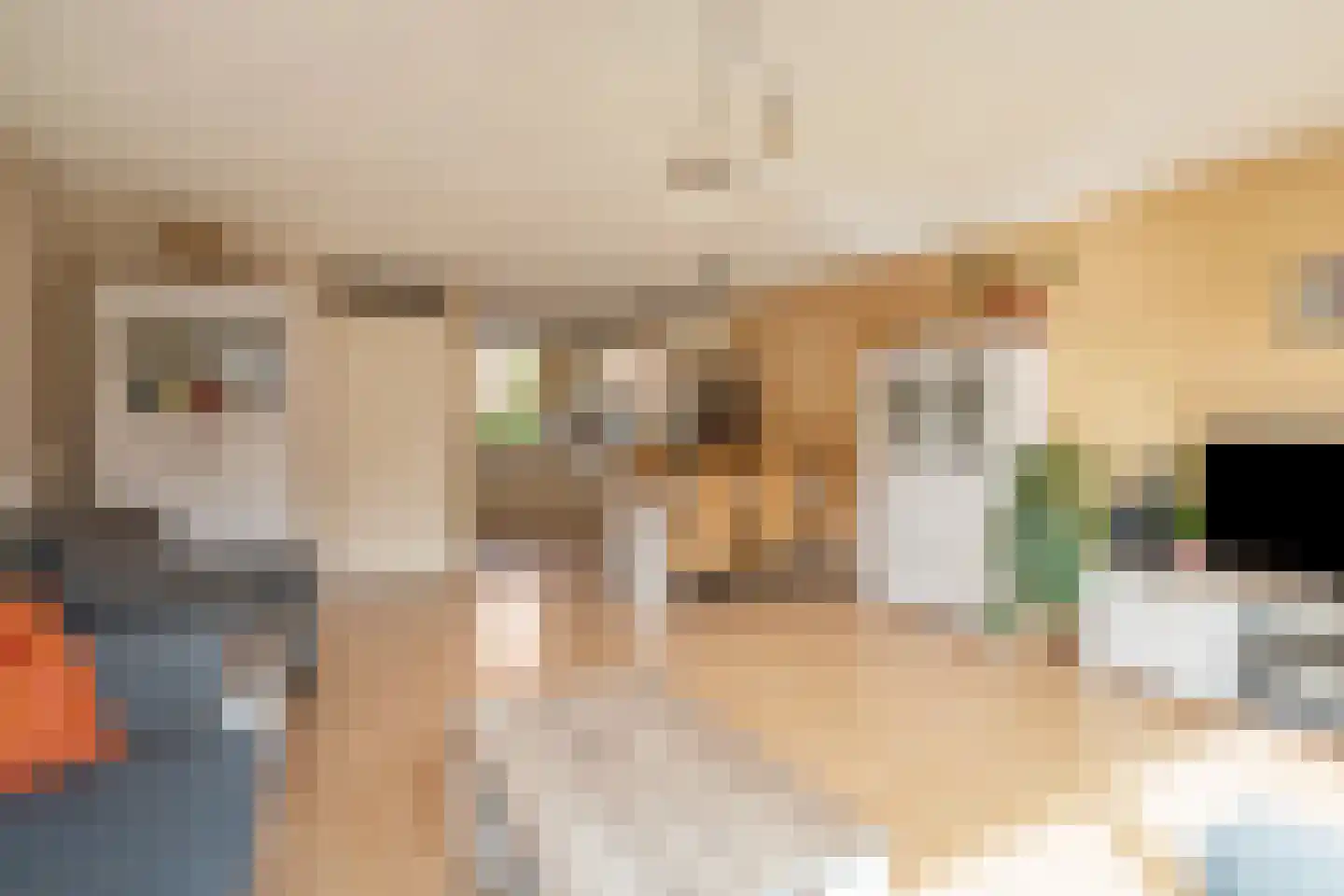 Faberlaan 64 Den Haag thumbnail 8