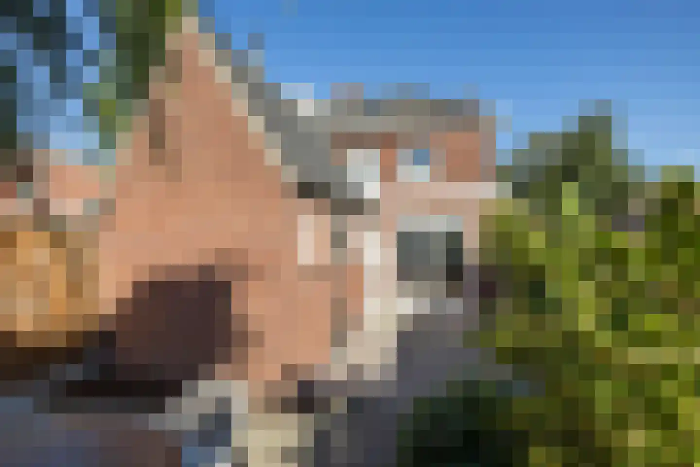 Faberstraat 24 Enschede thumbnail 31