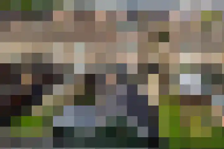 Fabianusstraat 30 Apeldoorn thumbnail 34