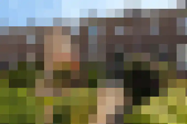 Fabianusstraat 30 Apeldoorn thumbnail 4