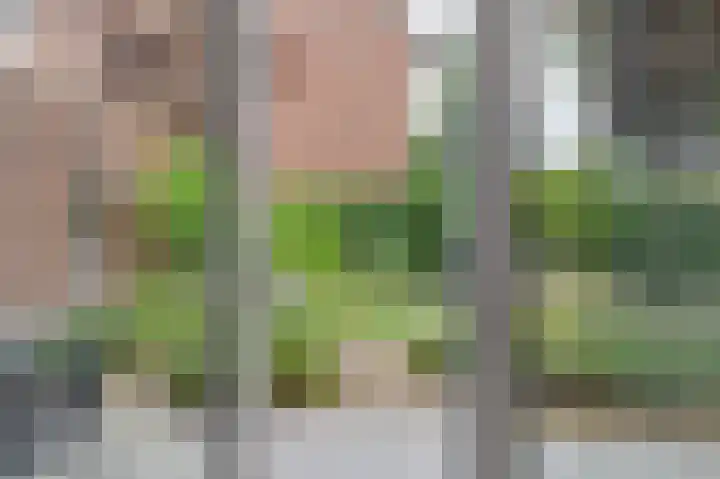 Fabianusstraat 69 Apeldoorn thumbnail 14
