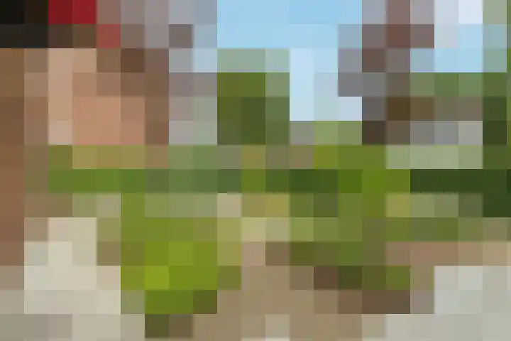 Fabianusstraat 69 Apeldoorn thumbnail 29