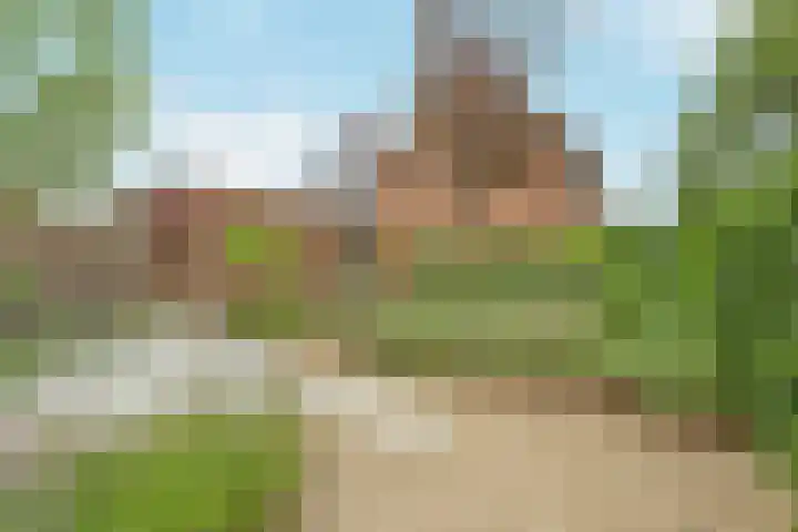 Fabianusstraat 69 Apeldoorn thumbnail 33