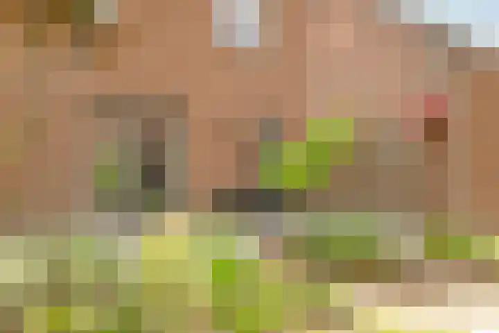 Fabianusstraat 69 Apeldoorn thumbnail 35