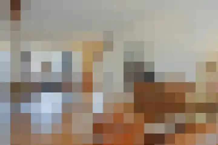 Fabiushof 11 Eindhoven thumbnail 12
