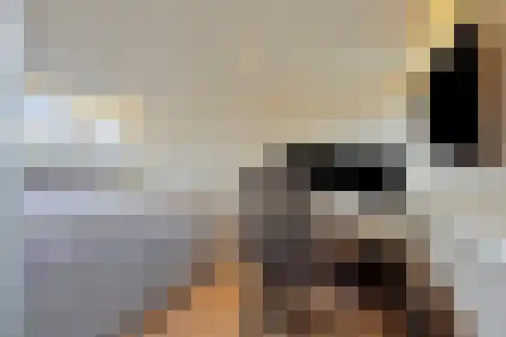 Fabiushof 11 Eindhoven thumbnail 21