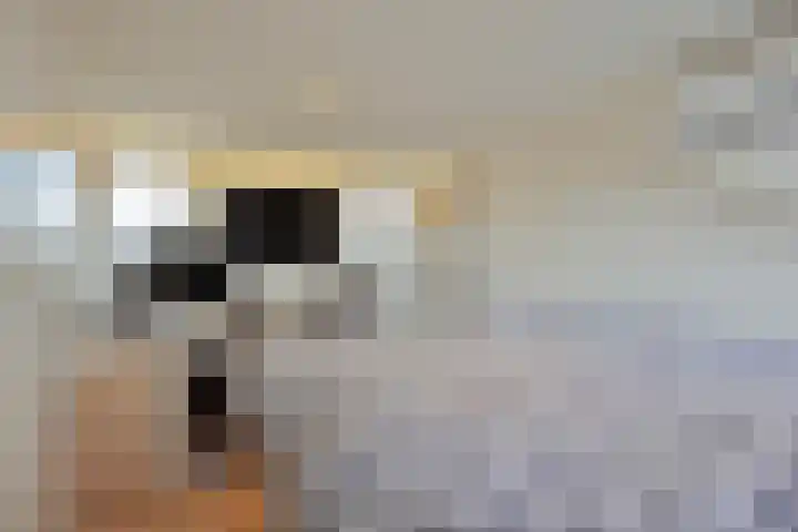 Fabiushof 11 Eindhoven thumbnail 22