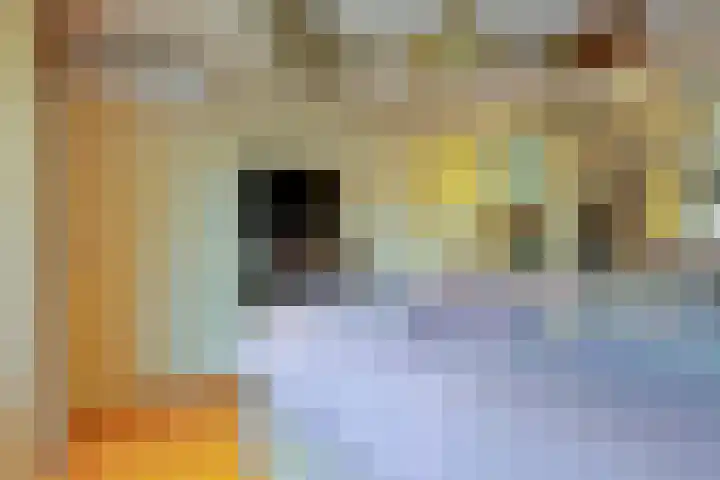Fabiushof 11 Eindhoven thumbnail 25