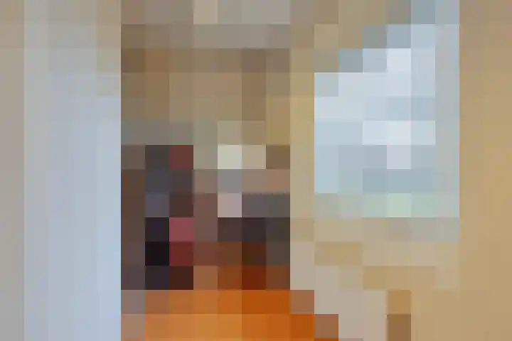 Fabiushof 11 Eindhoven thumbnail 28
