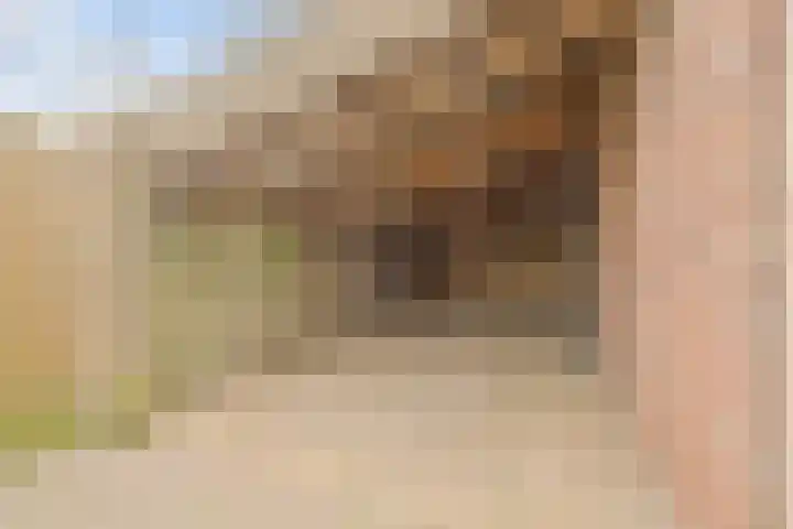 Fabiushof 11 Eindhoven thumbnail 33