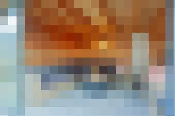 Fabiushof 11 Eindhoven thumbnail 37