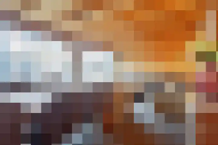 Fabiushof 11 Eindhoven thumbnail 39