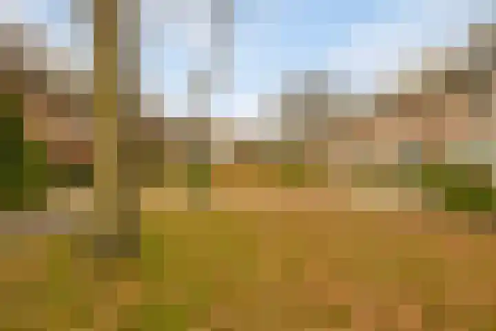 Fabiushof 11 Eindhoven thumbnail 42
