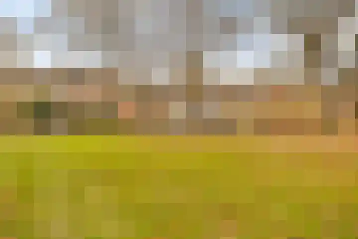 Fabiushof 11 Eindhoven thumbnail 43