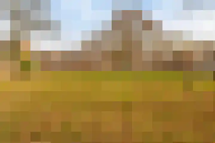 Fabiushof 11 Eindhoven thumbnail 44