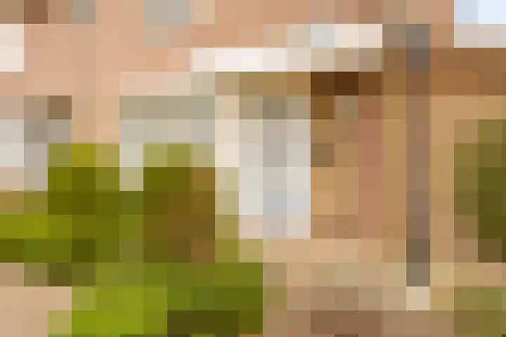 Fabiushof 11 Eindhoven thumbnail 5