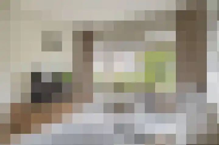 Fabiushof 12 Eindhoven thumbnail 11