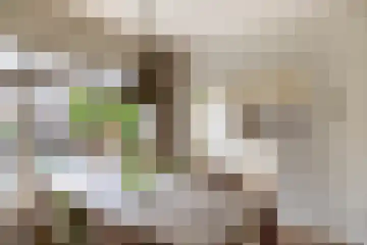 Fabiushof 12 Eindhoven thumbnail 15