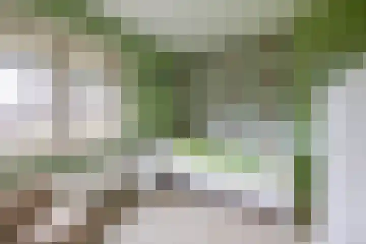 Fabiushof 12 Eindhoven thumbnail 22