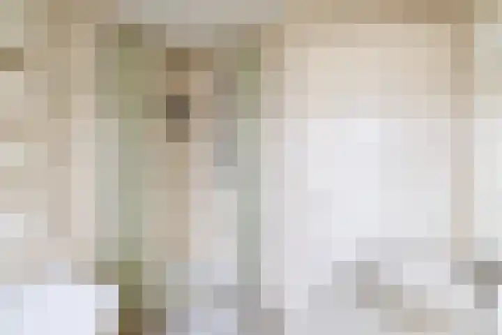 Fabiushof 12 Eindhoven thumbnail 24